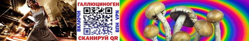 Псилоцибиновые грибы GOLDEN TEACHER  продажа наркотиков  blacksprut зеркало  shop официальный сайт  Евпатория 